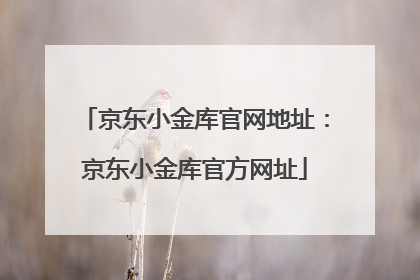 京东小金库官网地址:京东小金库官方网址