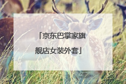 京东巴掌家旗舰店女装外套