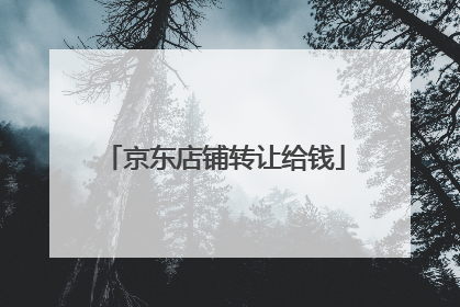 京东店铺转让给钱