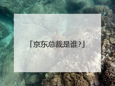 京东总裁是谁?