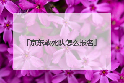 京东敢死队怎么报名