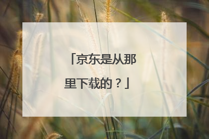 京东是从那里下载的？