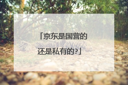 京东是国营的还是私有的?