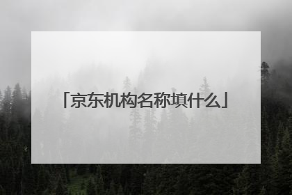 京东机构名称填什么