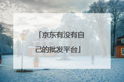 京东有没有自己的批发平台