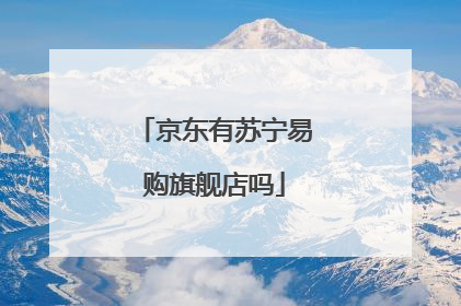 京东有苏宁易购旗舰店吗