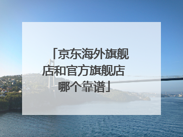 京东海外旗舰店和官方旗舰店哪个靠谱