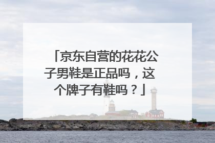 京东自营的花花公子男鞋是正品吗，这个牌子有鞋吗？