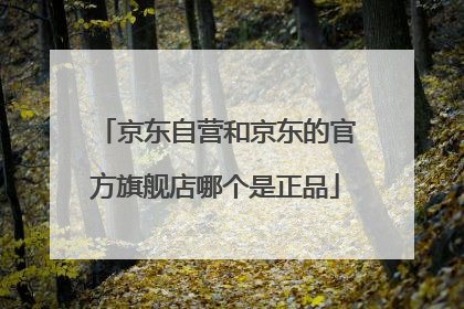 京东自营和京东的官方旗舰店哪个是正品