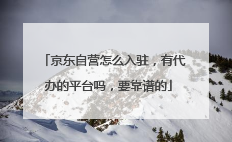 京东自营怎么入驻，有代办的平台吗，要靠谱的