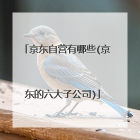 京东自营有哪些(京东的六大子公司)
