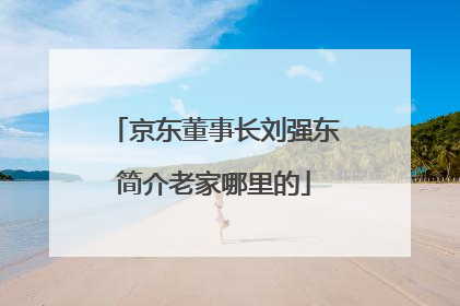 京东董事长刘强东简介老家哪里的
