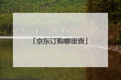京东订购哪里查