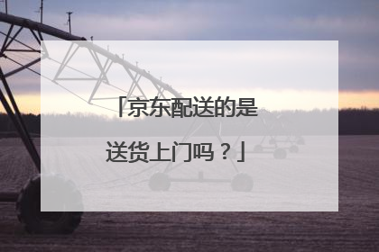 京东配送的是送货上门吗?