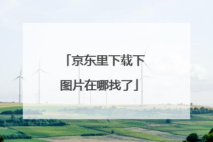 京东里下载下图片在哪找了