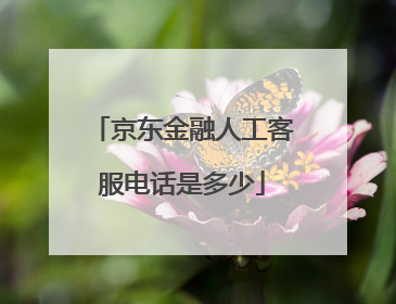 京东金融人工客服电话是多少