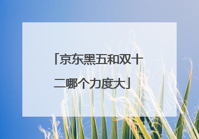 京东黑五和双十二哪个力度大