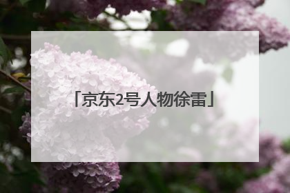 京东2号人物徐雷