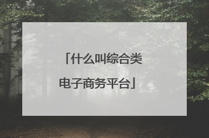 什么叫综合类电子商务平台