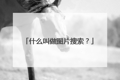 什么叫做图片搜索?