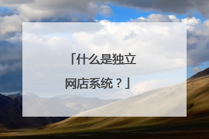 什么是独立网店系统?