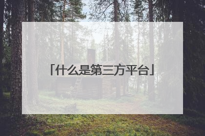 什么是第三方平台