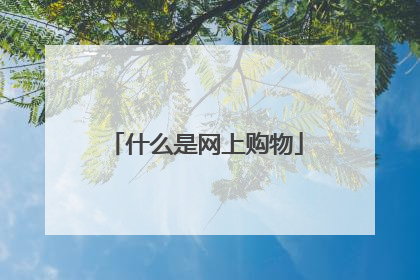 什么是网上购物