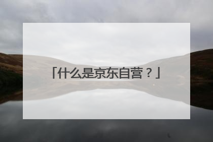什么是京东自营?