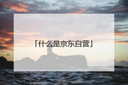 什么是京东自营