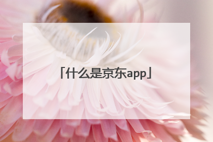 什么是京东app