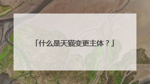 什么是天猫变更主体？