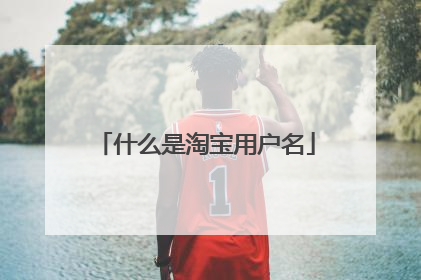 什么是淘宝用户名