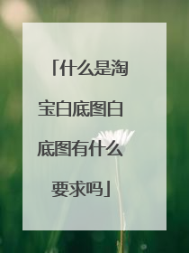 什么是淘宝白底图白底图有什么要求吗