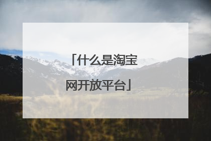 什么是淘宝网开放平台