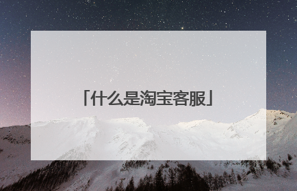 什么是淘宝客服