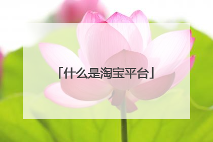 什么是淘宝平台
