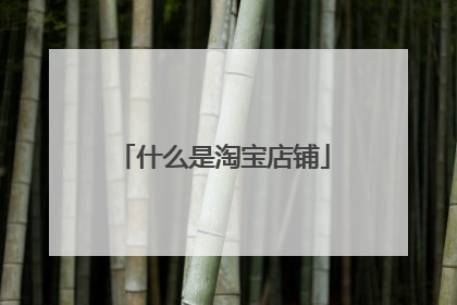 什么是淘宝店铺