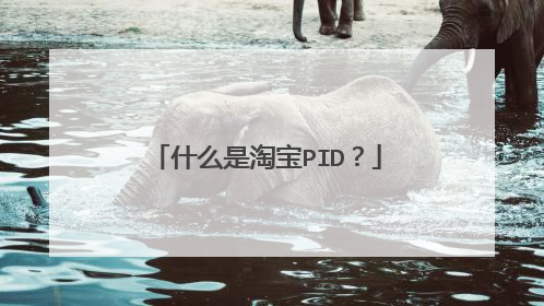 什么是淘宝PID？