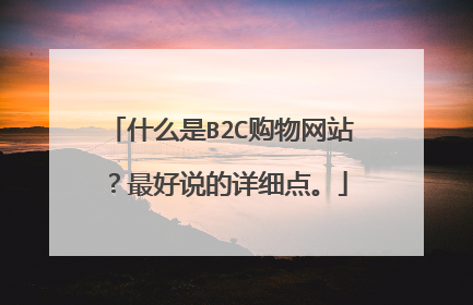 什么是B2C购物网站?最好说的详细点。