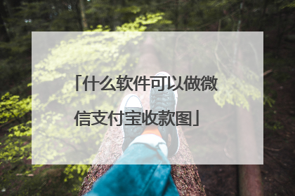 什么软件可以做微信支付宝收款图
