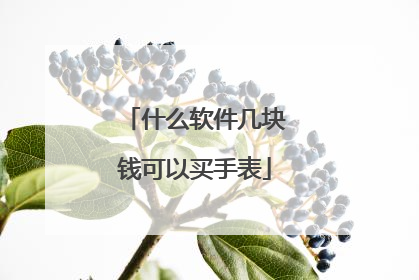什么软件几块钱可以买手表