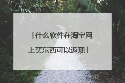 什么软件在淘宝网上买东西可以返现