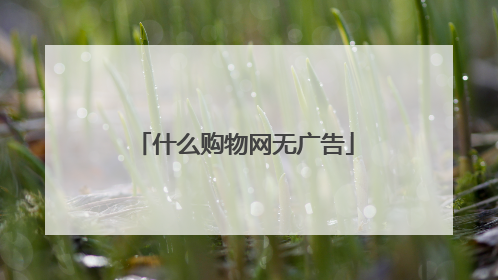 什么购物网无广告
