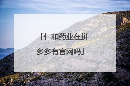 仁和药业在拼多多有官网吗