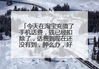 今天在淘宝充值了手机话费,钱已经扣除了,话费到现在还没有到,肿么办,好像无法退款,话费还有可能到账