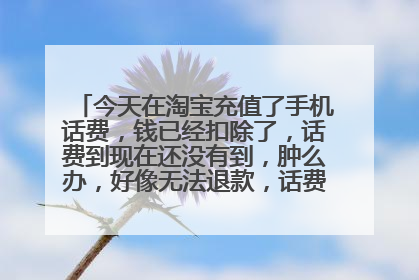 今天在淘宝充值了手机话费,钱已经扣除了,话费到现在还没有到,肿么办,好像无法退款,话费还有可能到账