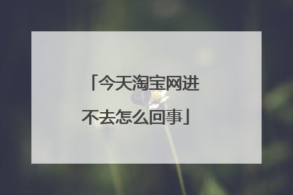 今天淘宝网进不去怎么回事