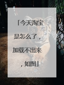 今天淘宝是怎么了，加载不出来，如图