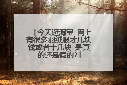 今天逛淘宝 网上有很多羽绒服才几块钱或者十几块 是真的还是假的?