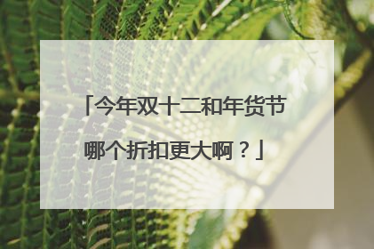 今年双十二和年货节哪个折扣更大啊?